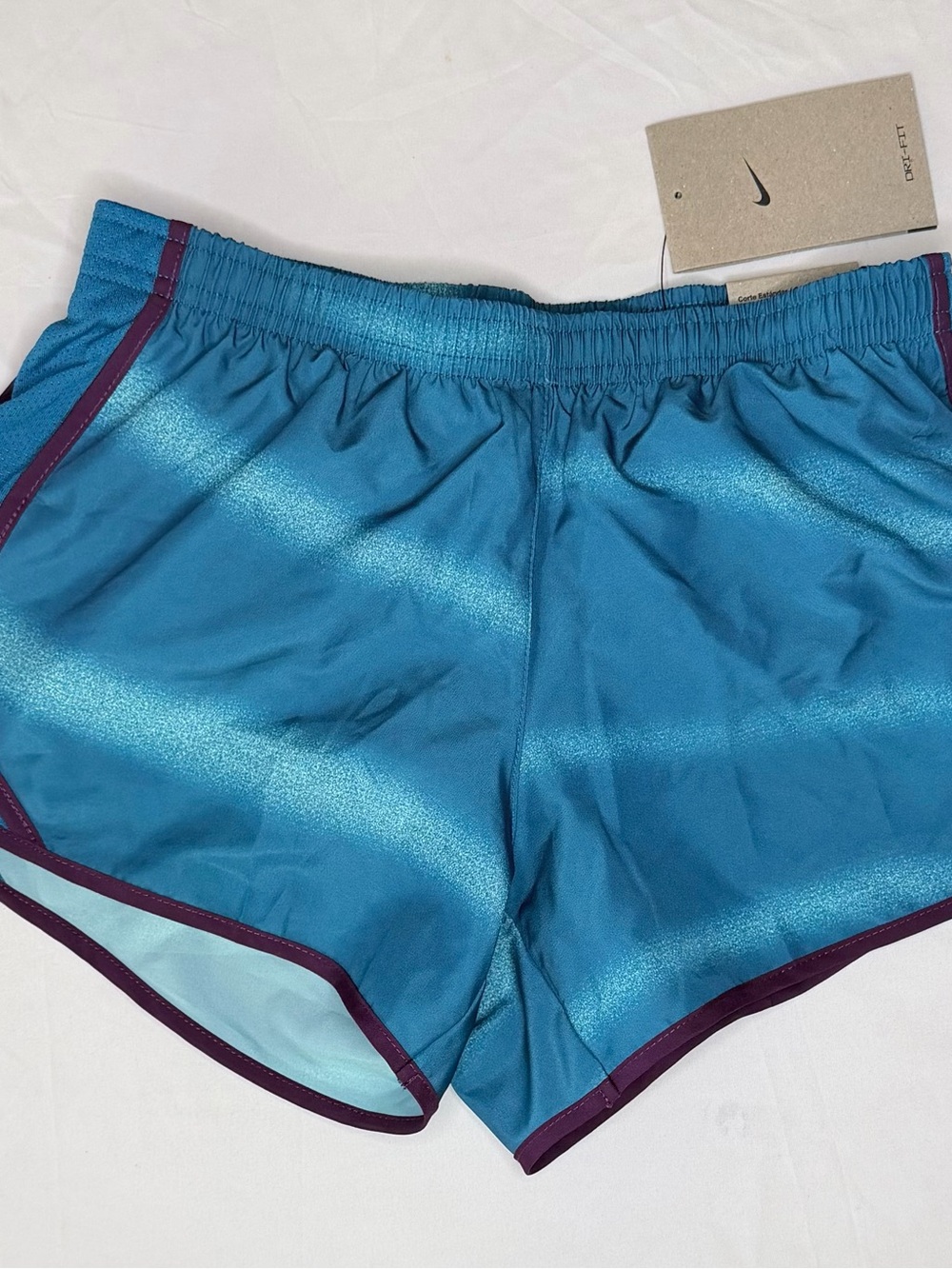 Nike Teal Athletic Shorts with Purple Trim